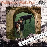 Waldemar Matuška - Co neodnesl čas