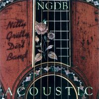 The Nitty Gritty Dirt Band - Acoustic